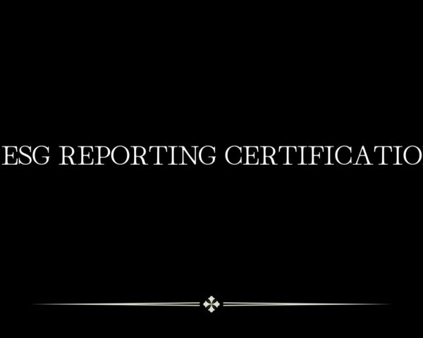ESG Reporting Certification: Enhancing Sustainability  & Accountability in Business Organizations
